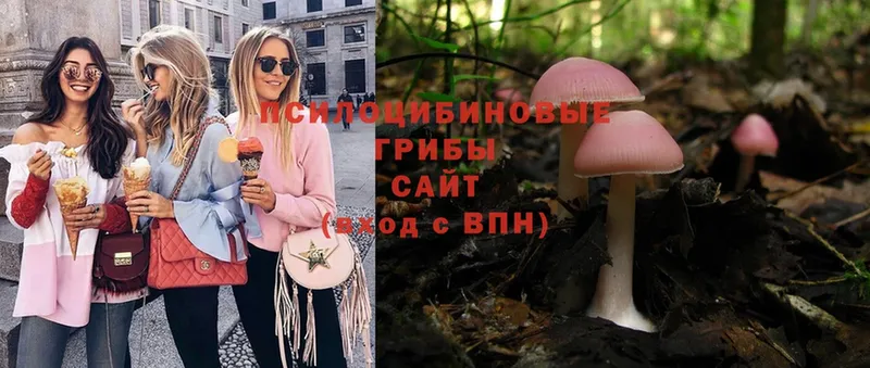 Галлюциногенные грибы MAGIC MUSHROOMS  ОМГ ОМГ   Нюрба 